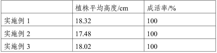 一种提高蓝莓幼苗栽培质量的方法与流程