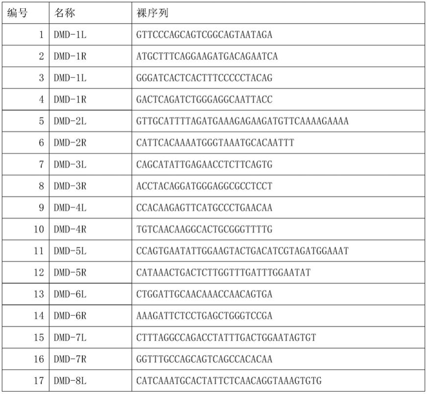 一种基于MLPA-NGS技术的DMD和SMA的拷贝数变异检测试剂盒及其用途的制作方法