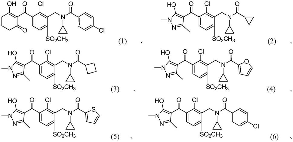 取代的苯甲酰类化合物及其应用的制作方法