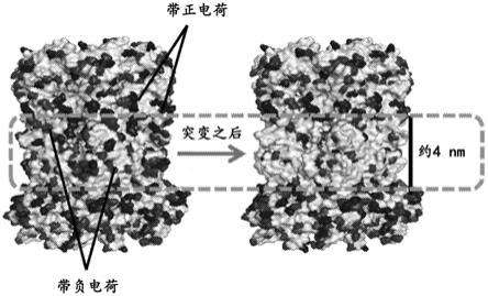 纳米孔组件及其用途的制作方法