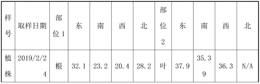 一种柑橘黄龙病防治用生物法医治方法与流程