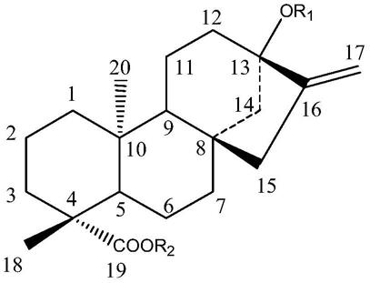 一种酶法生产莱鲍迪苷B的方法与流程