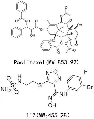 紫杉醇和IDO1小分子抑制剂复方药物组合物及其用途的制作方法