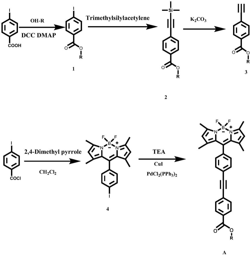 一类含有8-（双苯乙炔基）-酯基的氟硼吡咯化合物及其合成和应用的制作方法