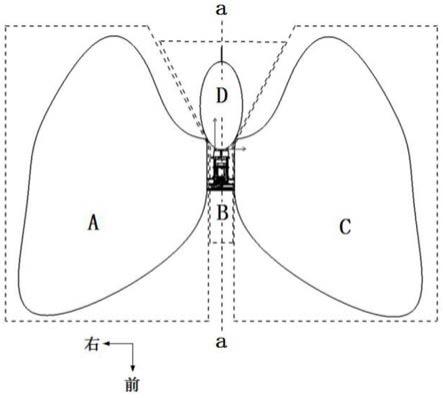 一种仿蝴蝶翼的仿生扑翼飞行器的制作方法