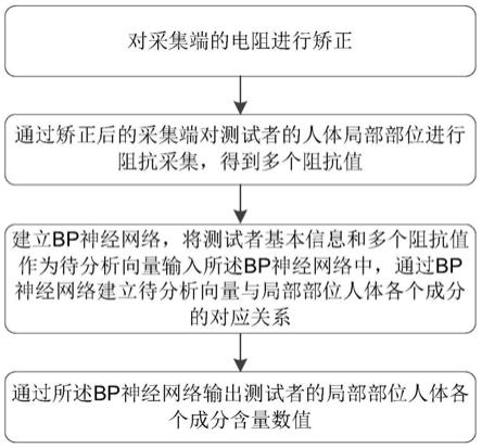 一种局部人体成分数据处理方法及分析仪与流程