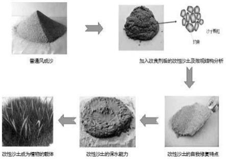 阿维菌渣无害化处理方法和产物及其作为沙土改良剂的应用与流程