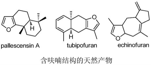 一种光/铜共催化合成多取代呋喃的方法与流程