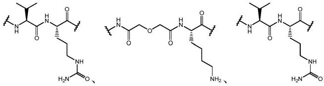 一种小分子活性化合物及其抗体偶联物、其制备方法和医药用途与流程