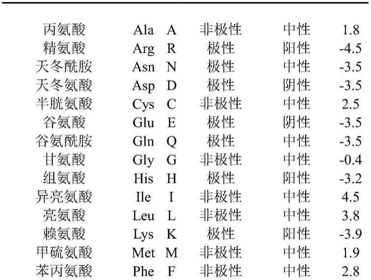 具有人源化分化簇47基因的非人动物的制作方法