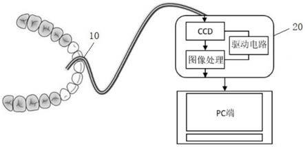 一种光纤式舌下微循环连续监测装置的制作方法