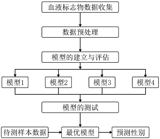 一种使用血液标志物预测性别的方法与流程