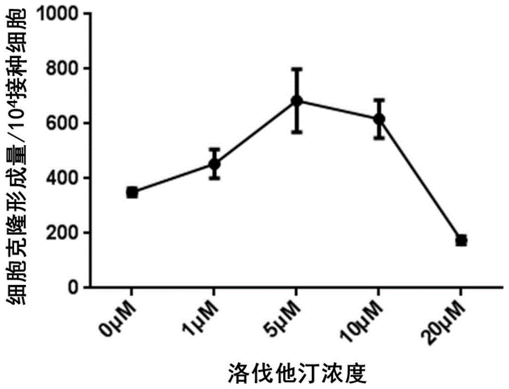 他汀类化合物在制备促进哺乳动物精原干细胞再生功能的药物中的应用的制作方法