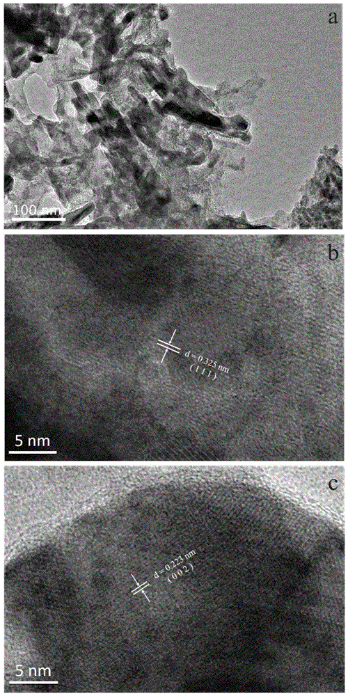 生物基碳材料负载无机物复合电催化剂及其制备方法与流程