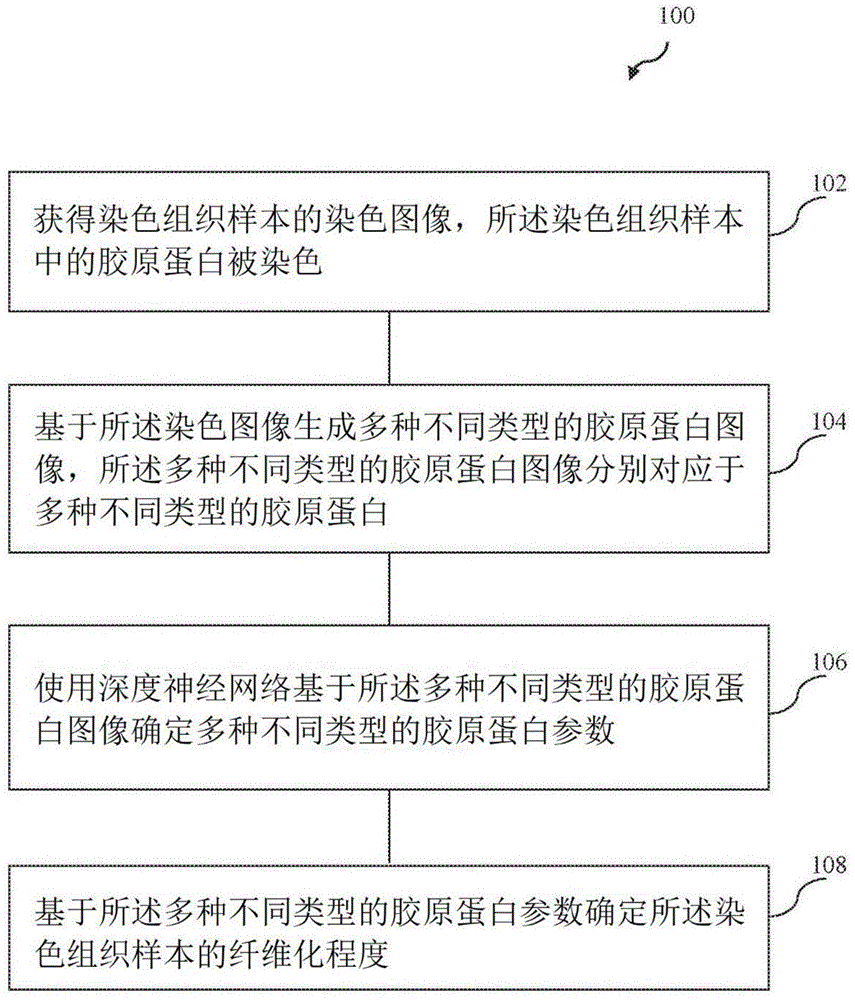 评价组织样本纤维化的方法和系统与流程