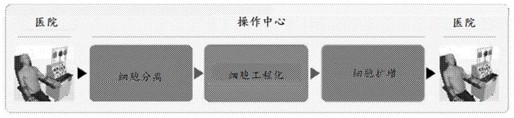 细胞工程平台的制作方法