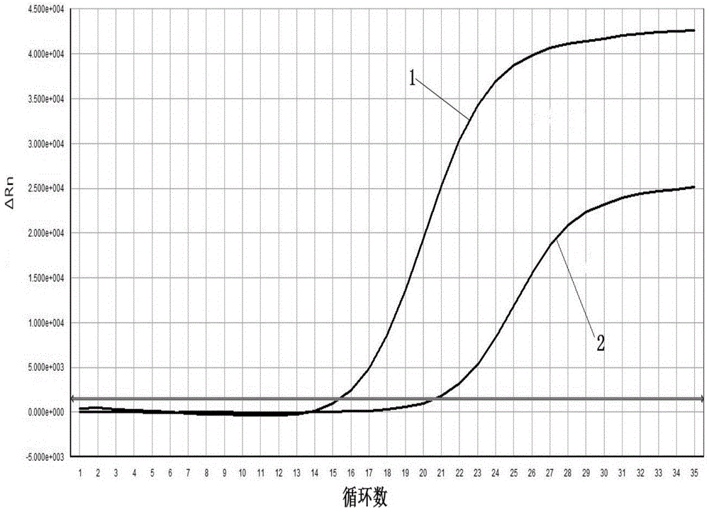 从人粪便样本中提取DNA的试剂盒、提取方法及应用与流程