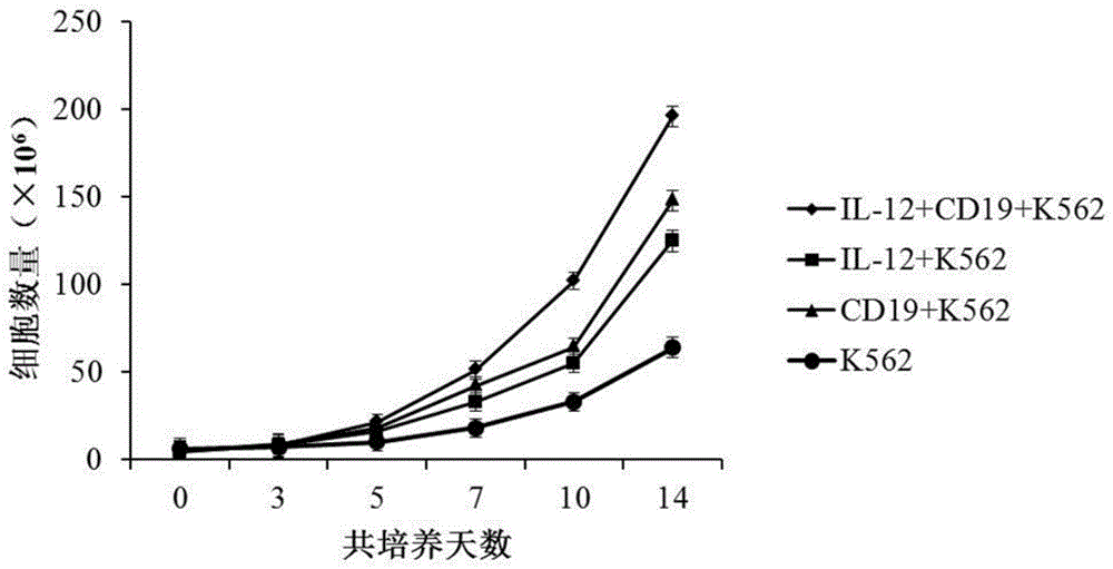 一种重编程NK细胞的培养方法与流程