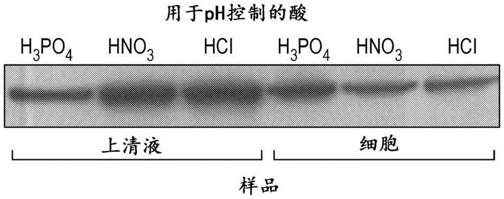 培育博德特氏菌属菌种的方法与流程