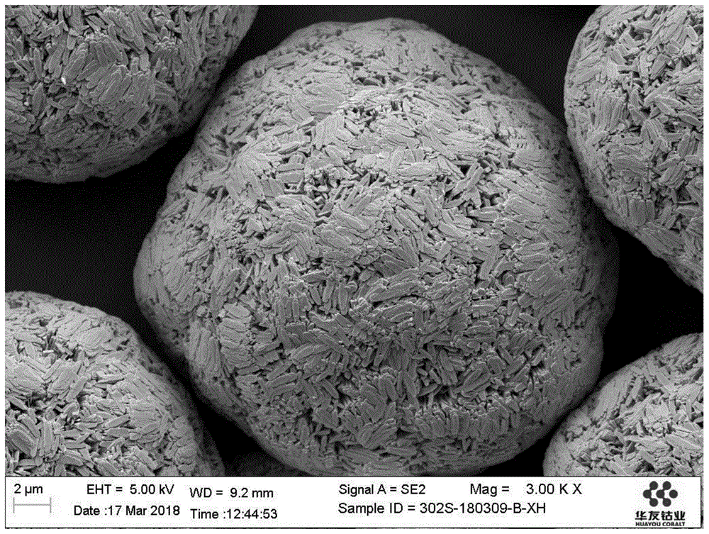 一种由超大单晶复合堆积而成的球形碳酸钴颗粒及其制备方法与流程