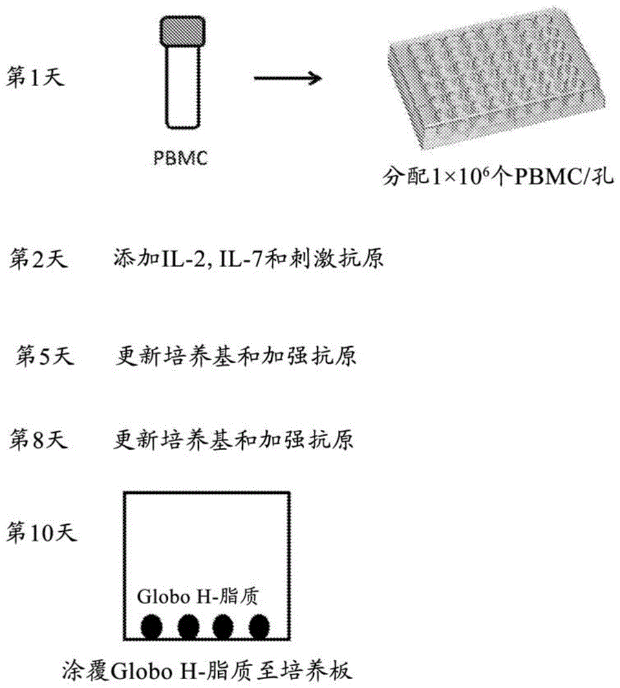 预测人体免疫反应的方法与流程