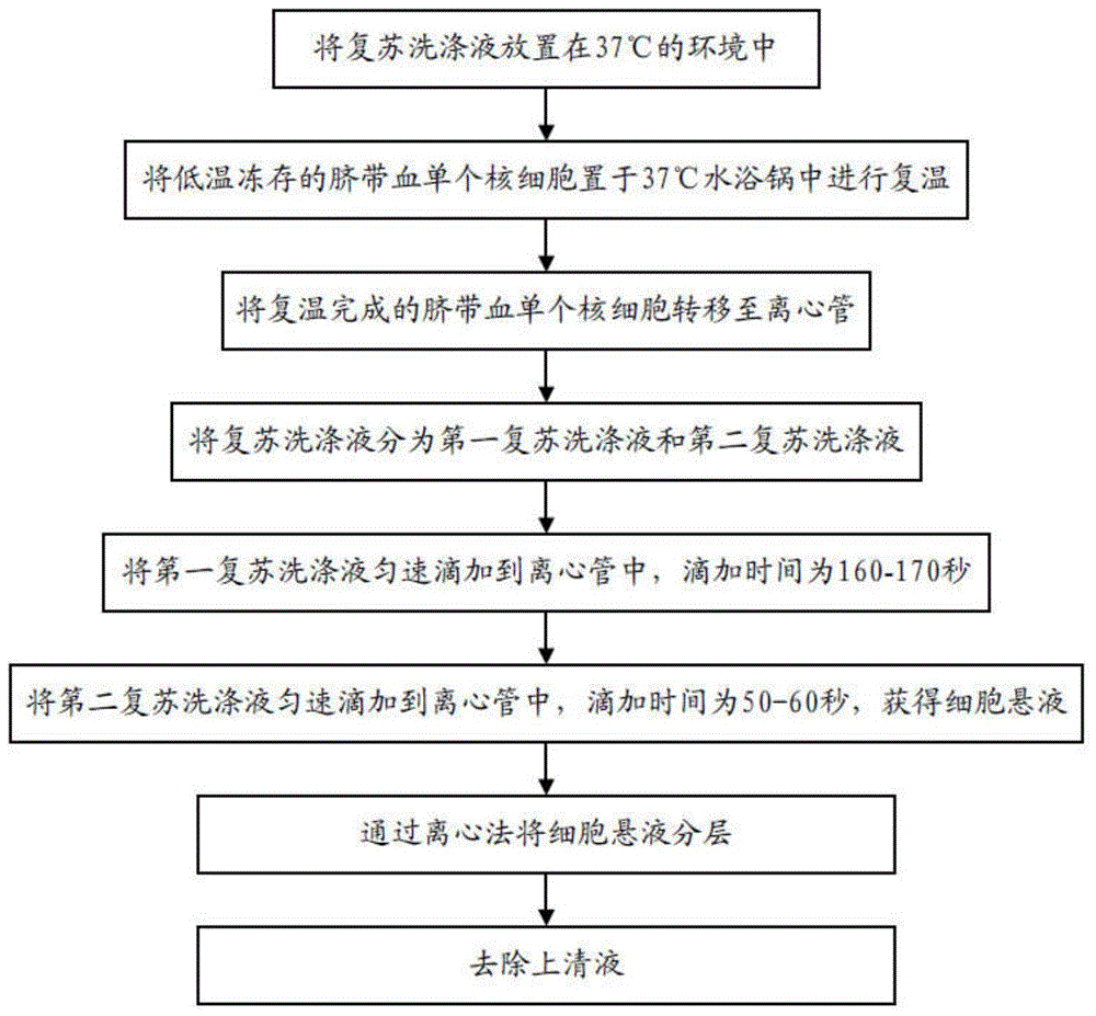 一种低温冷冻的脐带血单个核细胞的复苏方法与流程