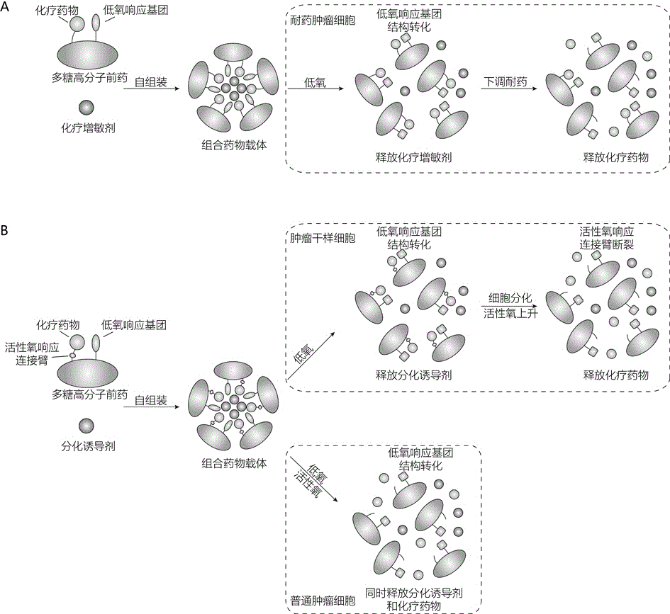 基于高分子前药的自组装组合药物载体及其应用的制作方法