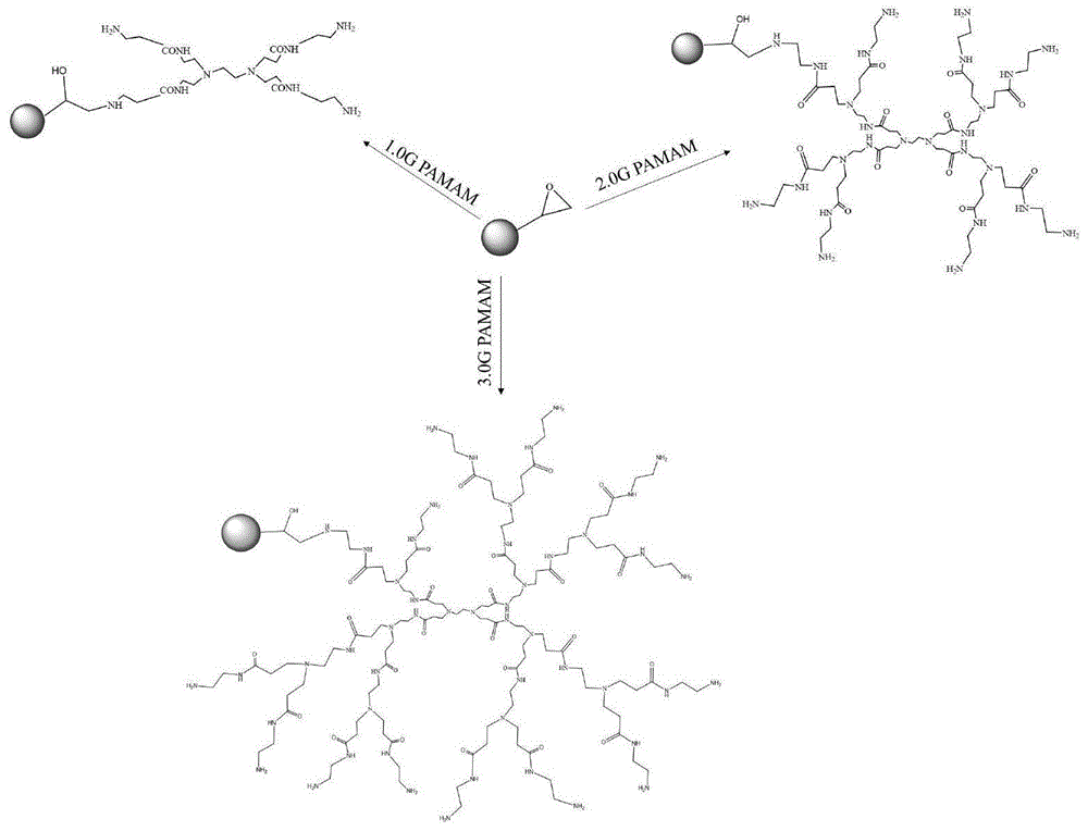 一种聚酰胺-胺树状大分子接枝型吸附材料用于溶液中磷酰化药物快速富集的方法及应用与流程