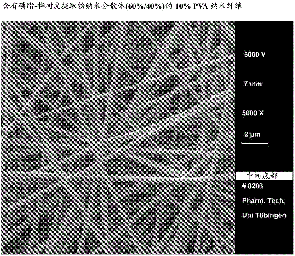 含有纳米分散体的静电纺丝纤维及其在治疗伤口中的用途的制作方法