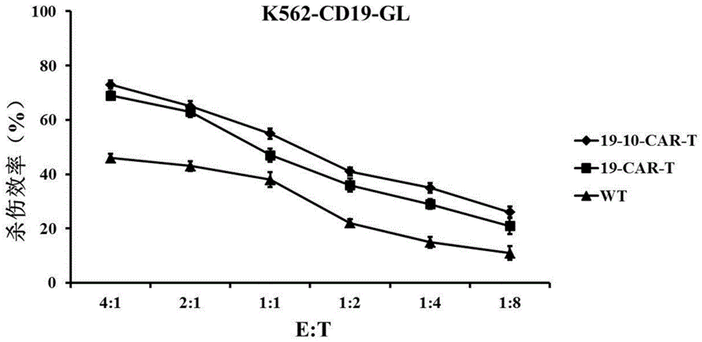 CD19和CD10双靶点嵌合抗原受体及其应用的制作方法