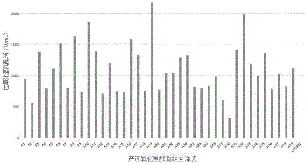 高酶活的过氧化氢酶、基因以及高产过氧化氢酶的重组菌株和应用的制作方法