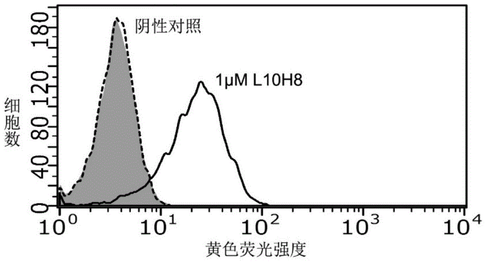 GIPR抗体及其与GLP-1的融合蛋白质，以及其药物组合物和应用的制作方法