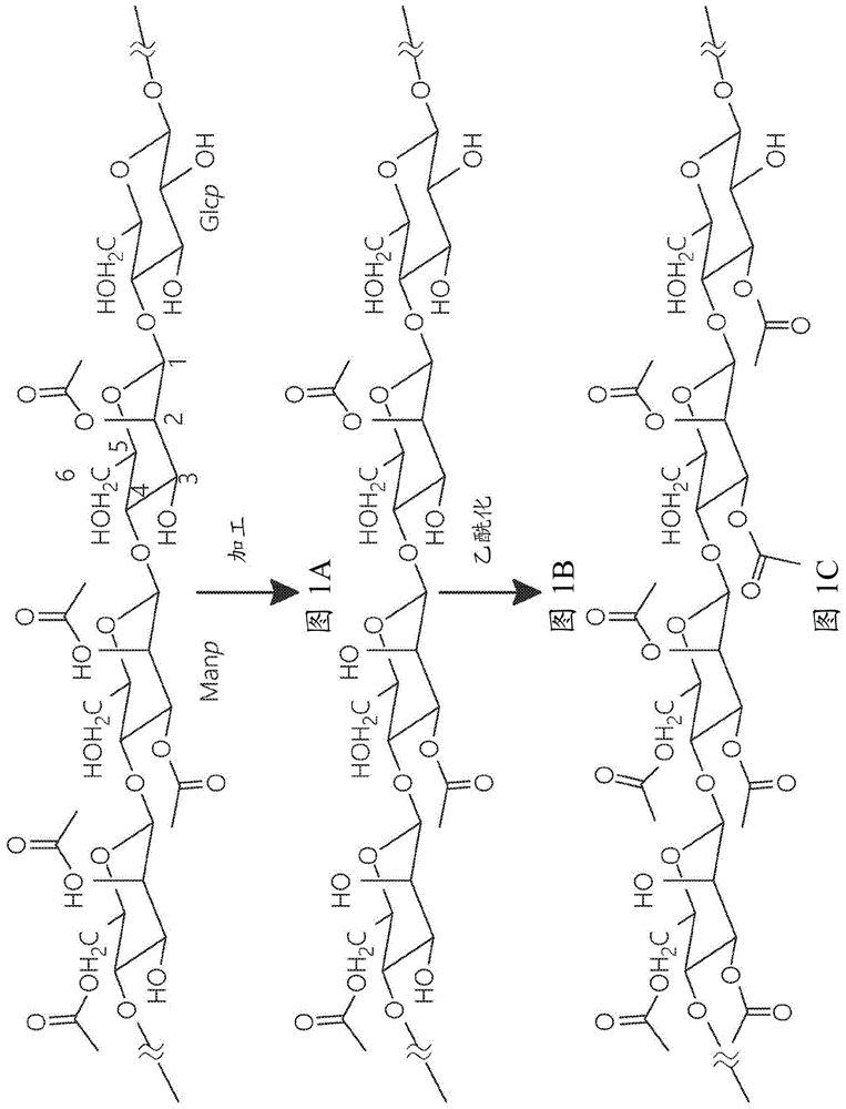 多糖的乙酰化的制作方法