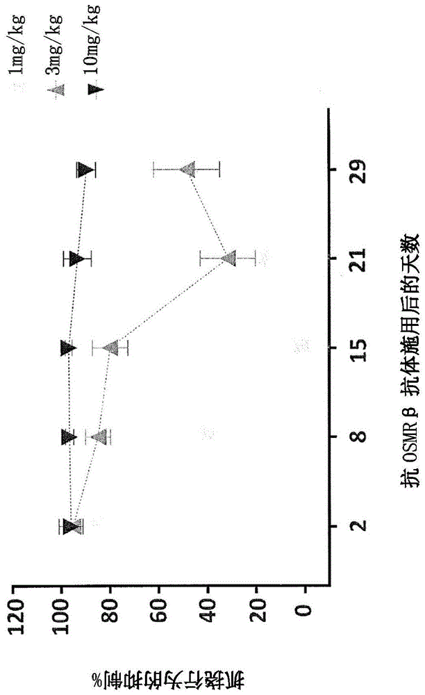 通过递送抗OSMRβ抗体治疗皮肤疾病或病症的制作方法