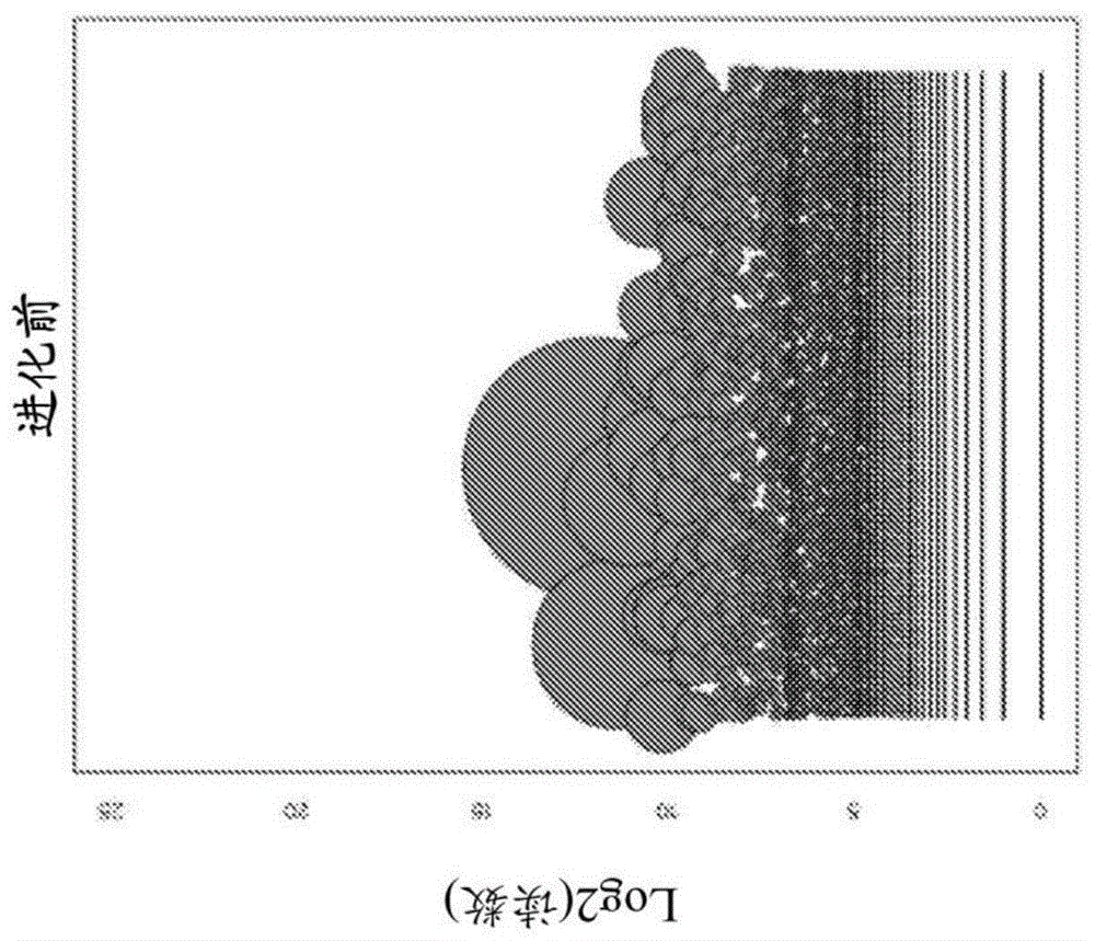 靶向眼组织的病毒载体的制作方法