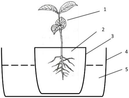 一种红树植物育苗基质及育苗方法与流程