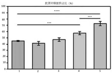 无机-有机复合的活细胞支架及其制备方法和应用与流程