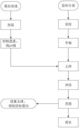 一种提高目标蛋白回收率的层析方法与流程