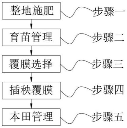 一种水稻覆膜机插一体化栽培方法与流程