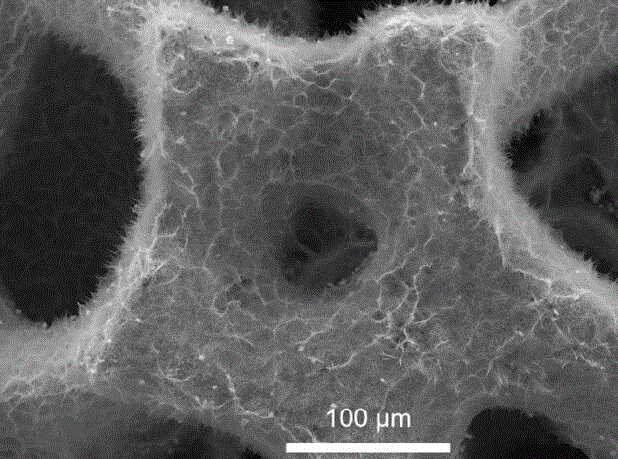 一种纳米线状二磷化铜及其制备方法和应用与流程