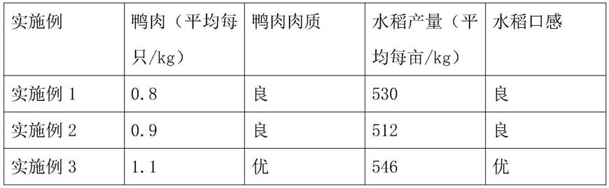 一种稻鸭共生的培育方法与流程