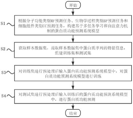 一种结合多任务学习和自注意力机制的蛋白质功能预测方法与流程