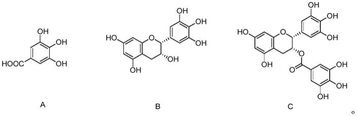多羟基苯酚类化合物的应用、放射性药物组合物及制法的制作方法