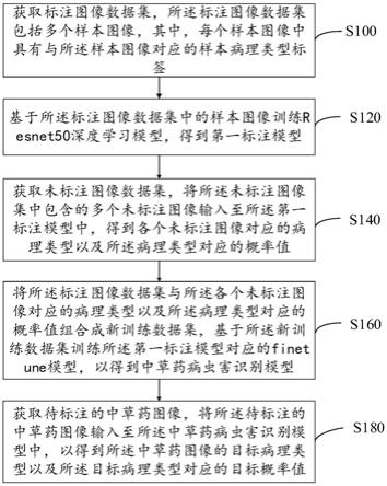 基于半监督学习训练中草药病虫害识别模型的方法与系统与流程