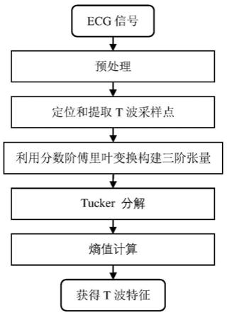 基于分数阶傅里叶变换和张量分解的心电T波特征提取方法与流程