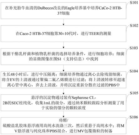 一种益生菌模拟物及其制备方法与流程