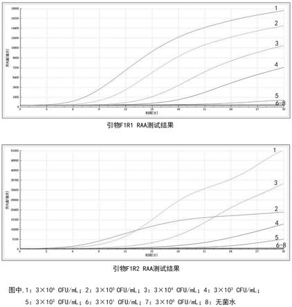 一种基于RAA技术检测单增李斯特菌的引物探针组合、试剂盒及方法与流程