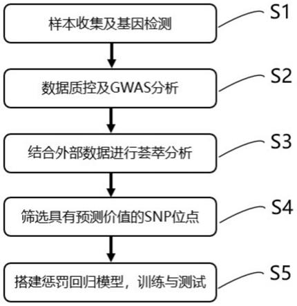 一种基于单核苷酸多态性的肺血栓栓塞症风险预测模型的构建方法、SNP位点组合及应用与流程