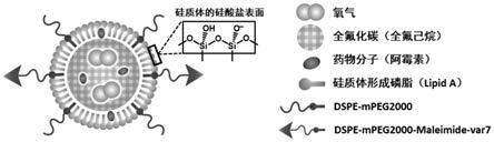 一种全氟化碳硅质体及其制备方法和应用与流程