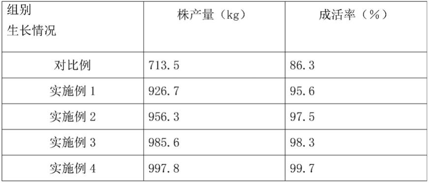 一种笋用竹密植栽培方法与流程